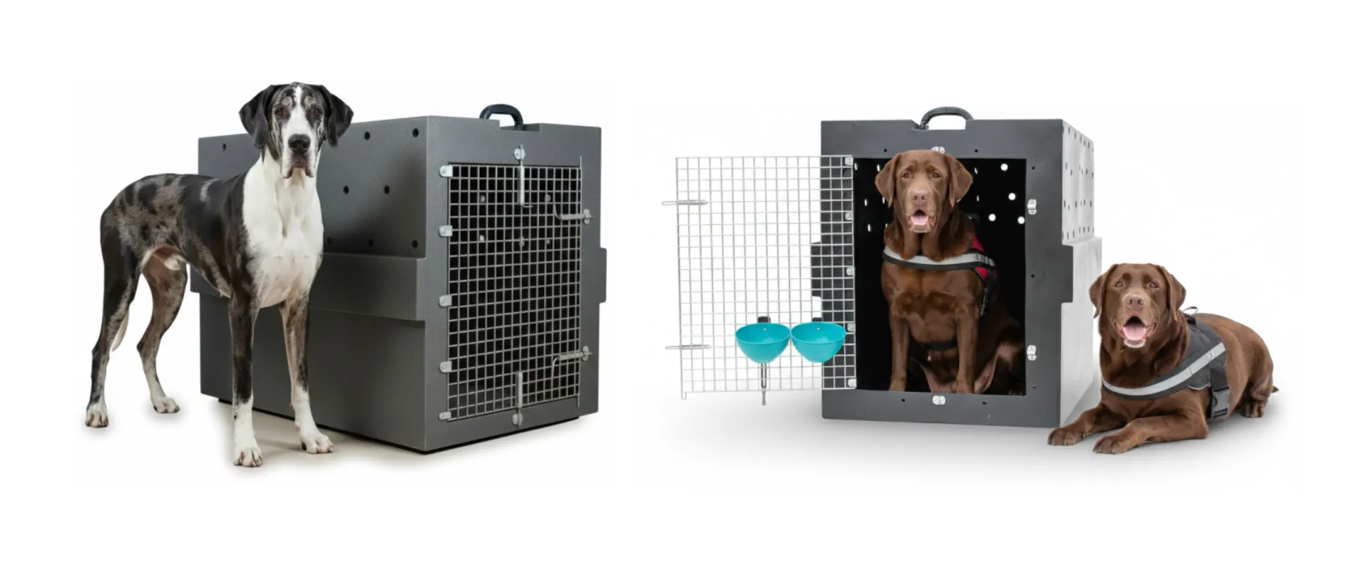 Caixa Kennel de Transporte Pet para Raças Grandes e Gigantes - tamanhos 6, 7, 8, 9 e 10 padrão IATA